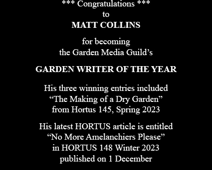 Matt Collins